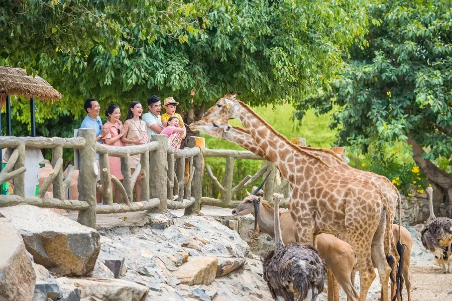 10 Best Things to Do in VinWonders Nha Trang in 2026 6 Giraffes at King’s Garden in VinWonders Nha Trang