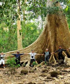 1 Cat Tien National Park 3 Days Easy Riders Tour From Ho Chi Minh City to Da Lat 4