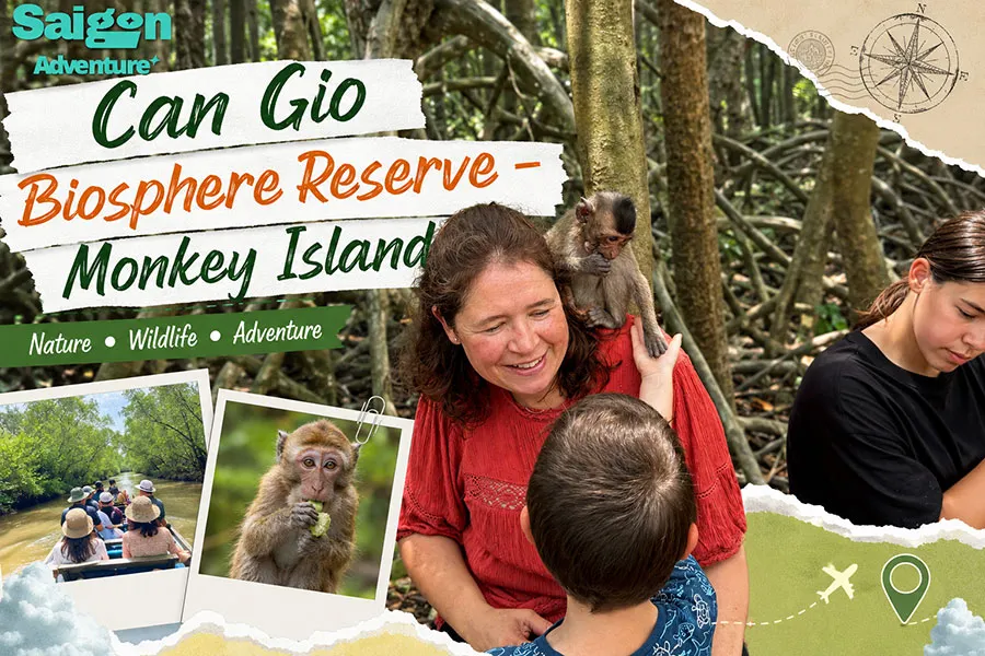 Start your Can Gio journey with Saigon Adventure and experience the wild beauty of Monkey Island today.