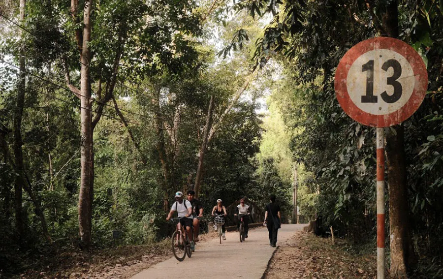 Most visitors spend a full day leisurely exploring the main route of Cat Tien National Park. However, if time is limited, they can choose specialized vehicles for transportation.