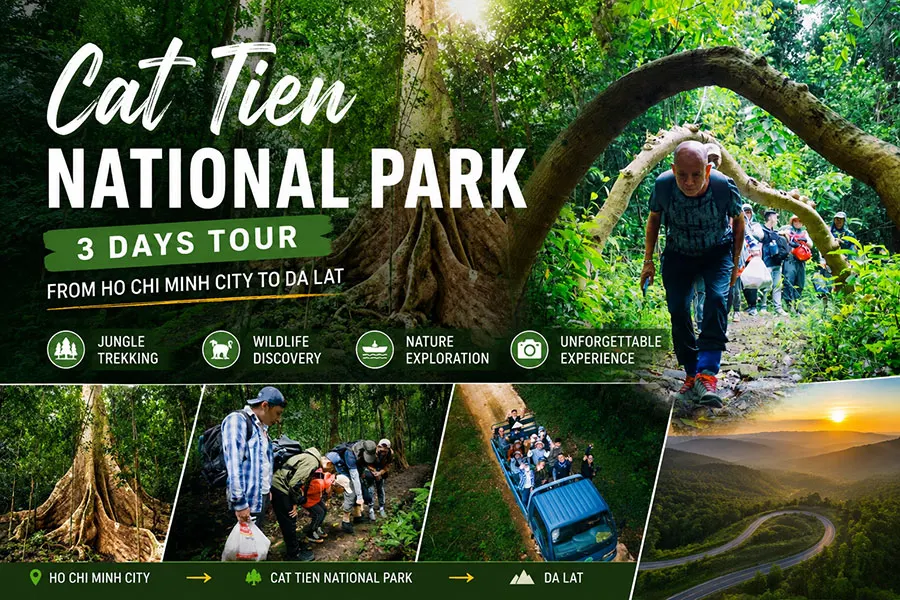 Visiting Cat Tien Forest is not just a simple tourist trip; it's also a rewarding and relaxing vacation. Both children and adults can discover and learn many interesting things about nature.