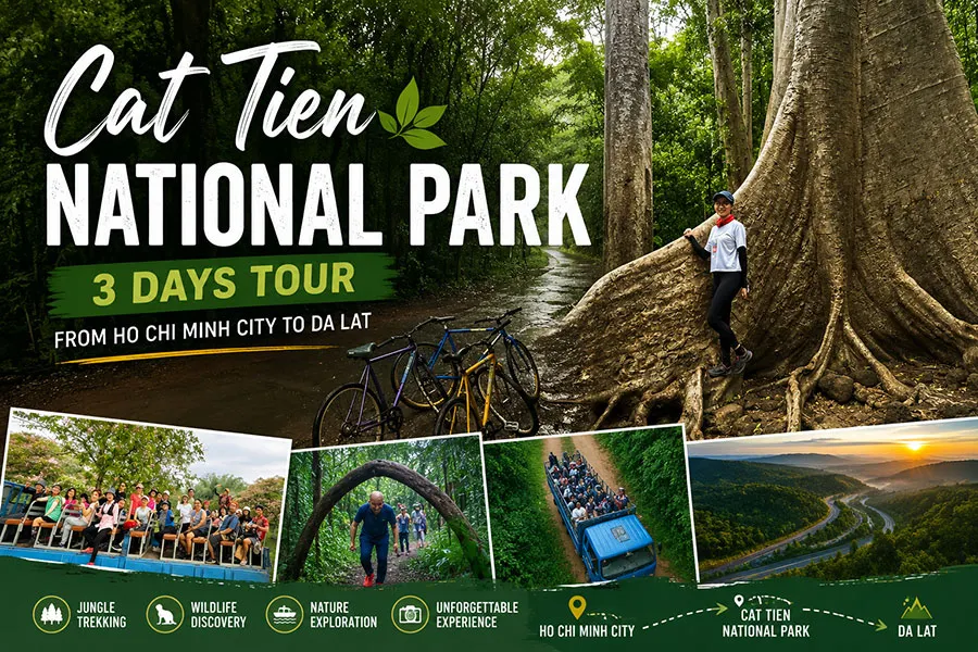Are you ready for a trek through Cat Tien Forest, admiring ancient thousand-year-old tung trees and experiencing a tour showcasing the unique beauty of this natural forest?