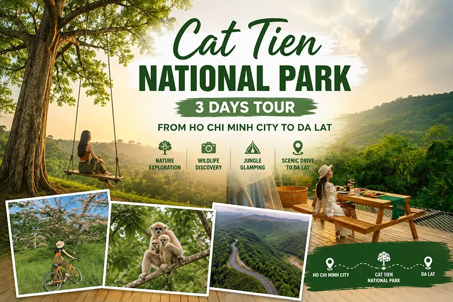 Say goodbye to the hustle and bustle of the city and embark on a journey to discover the pristine beauty of Cat Tien National Park, one of Vietnam's key tropical rainforests.