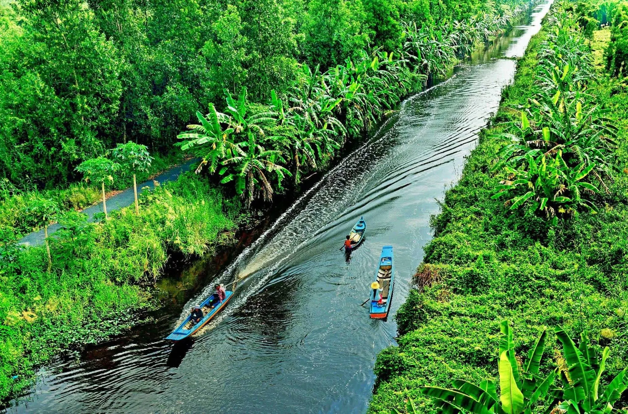 Aerial view of motorized tour boats cruising along a wide green river surrounded by dense jungle vegetation in the Mekong Delta.