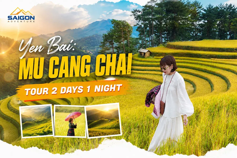 Tourists admiring golden rice terraces in Mu Cang Chai Yen Bai during a memorable getaway