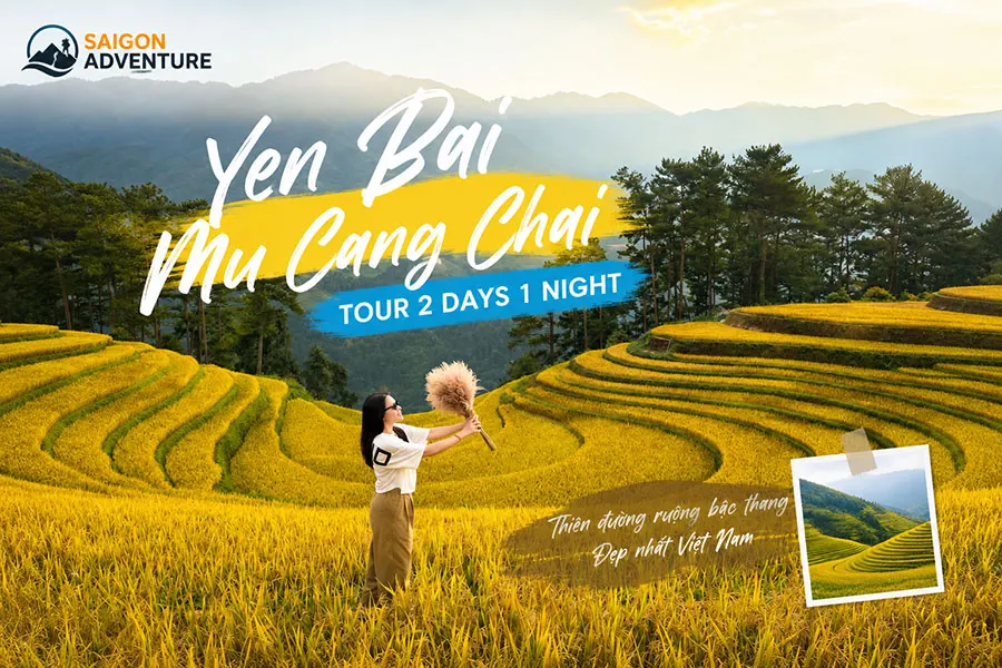 Explore Mu Cang Chai terraced rice fields on an unforgettable 2-day 1-night Yen Bai adventure