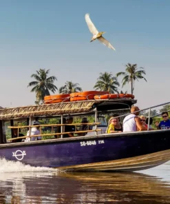 Authentic Mekong Delta Tour By speedboat 13