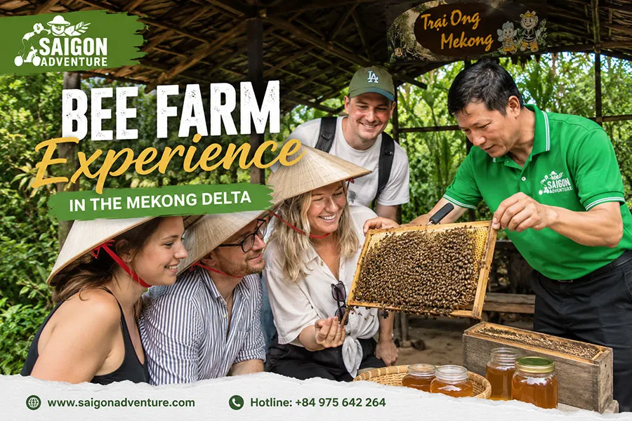 bee farm experience mekong delta 7