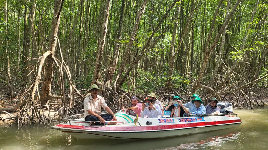 Visitors experience the sensation of gliding through the cajeput forest on long-tail boats and high-speed motorboats.