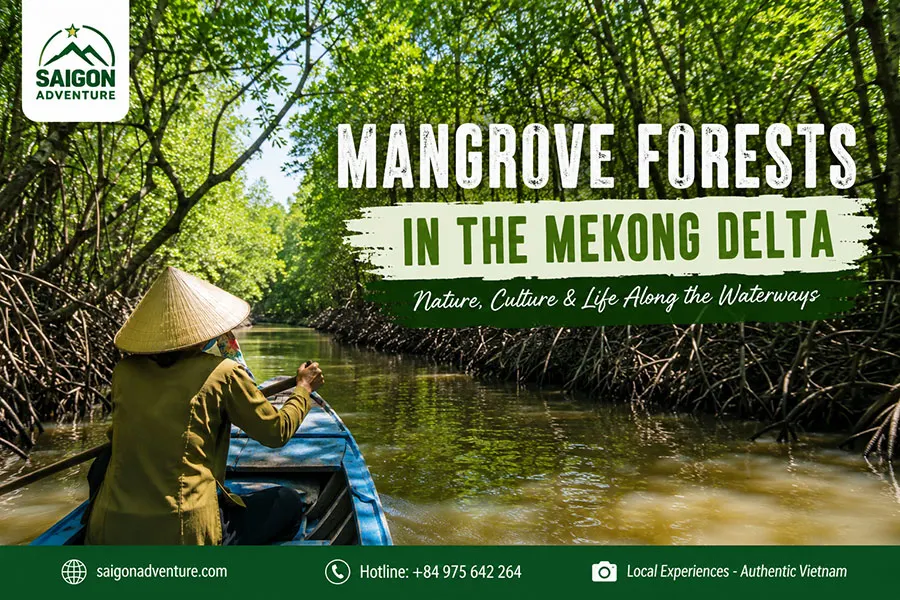 Mangrove Forests in the Mekong Delta