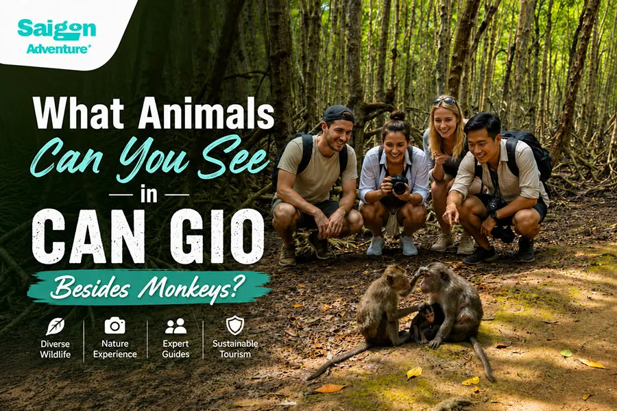 What Animals Can You See in Can Gio Besides Monkeys? 2 Tourists discovering wildlife in Can Gio Mangrove Forest beyond the famous monkeys