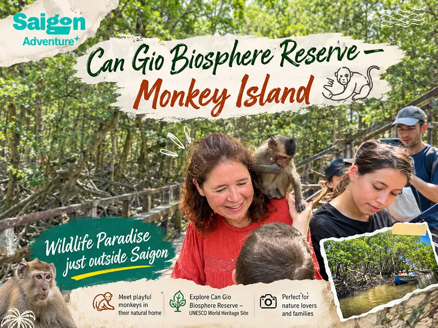 Why Is Can Gio Mangrove Forest So Important? 3 Plan your Monkey Island Can Gio adventure and explore one of the most unique attractions near Saigon