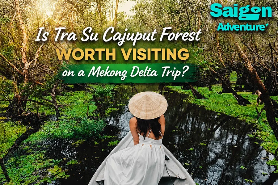 Is Tra Su Cajuput Forest Worth Visiting on a Mekong Delta Trip? 2 Tra Su Forest Mekong Delta Travel