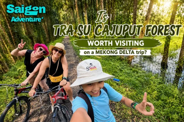 Is Tra Su Cajuput Forest Worth Visiting on a Mekong Delta Trip?