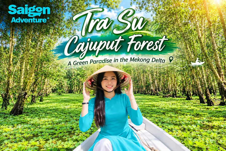 Is Tra Su Cajuput Forest Worth Visiting on a Mekong Delta Trip? 4 Explore Tra Su Cajuput Forest in An Giang on a scenic Mekong Delta boat tour