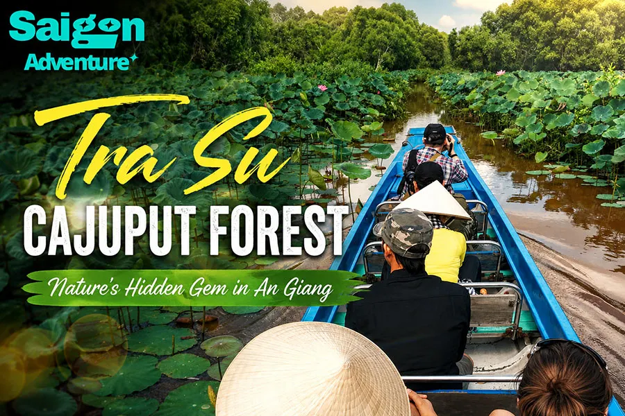 Is Tra Su Cajuput Forest Worth Visiting on a Mekong Delta Trip? 3 Tra Su Cajuput Forest on a Mekong Delta Trip