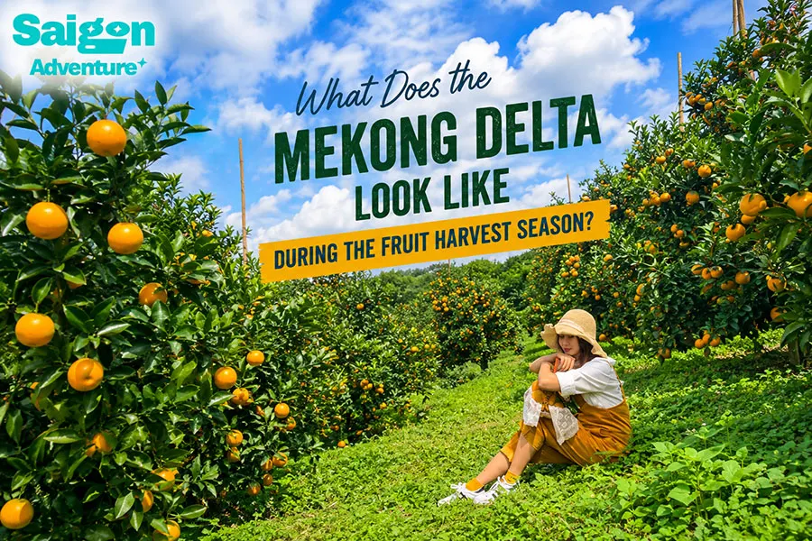 What Is the Best Way to Experience the Mekong Delta Without Feeling Rushed? 1 Tourist exploring a fruit orchard in the Mekong Delta during harvest season