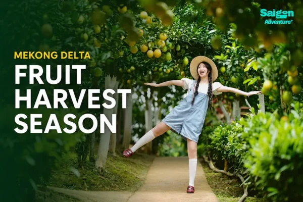 What Is the Best Way to Experience the Mekong Delta Without Feeling Rushed?