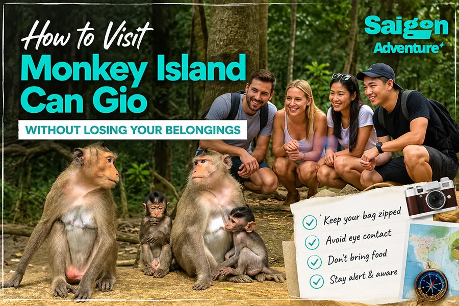 How to Visit Monkey Island Can Gio Without Losing Your Belongings 1 How can you enjoy Monkey Island Can Gio without losing your belongings?