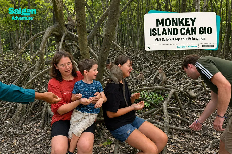 How to Visit Monkey Island Can Gio Without Losing Your Belongings 2 International tourists enjoying a close encounter with playful monkeys at Monkey Island in Can Gio Mangrove Forest