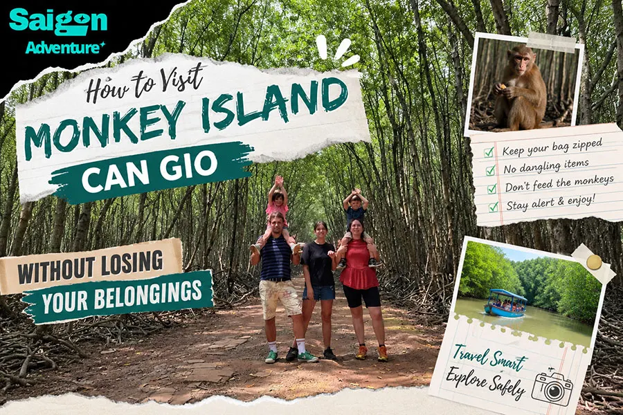 Why Is Can Gio Mangrove Forest So Important? 2 Monkey Island Can Gio travel safety tips for international tourists