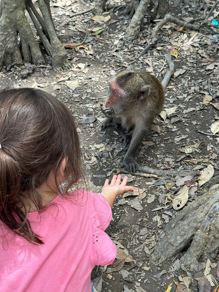 How to Visit Monkey Island Can Gio Without Losing Your Belongings 5 Guided Can Gio Monkey Island tour offering a safer experience for families with children