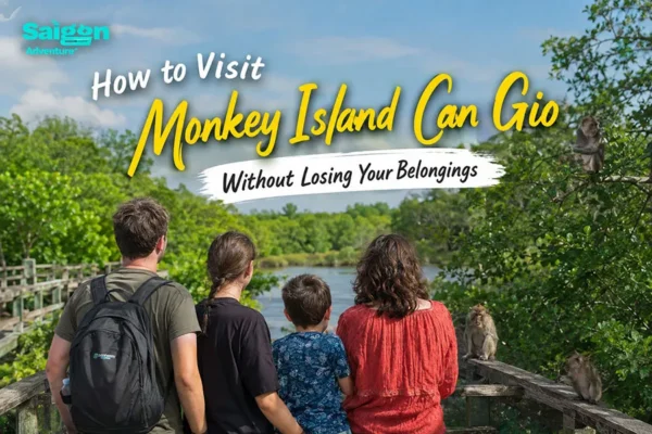How to Visit Monkey Island Can Gio Without Losing Your Belongings