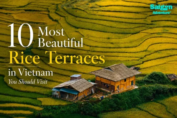 10 Most Beautiful Rice Terraces in Vietnam to Visit