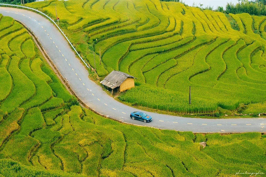 10 Most Beautiful Rice Terraces in Vietnam to Visit 2 Visit Vietnam’s stunning rice terraces during the unforgettable golden rice season