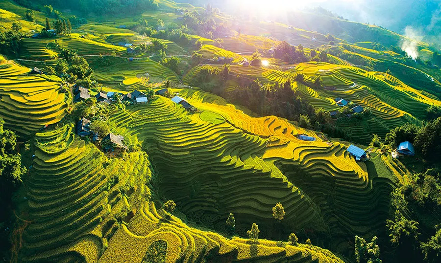 10 Most Beautiful Rice Terraces in Vietnam to Visit 4 Green terraced rice fields surrounding villages in Sapa’s Muong Hoa Valley