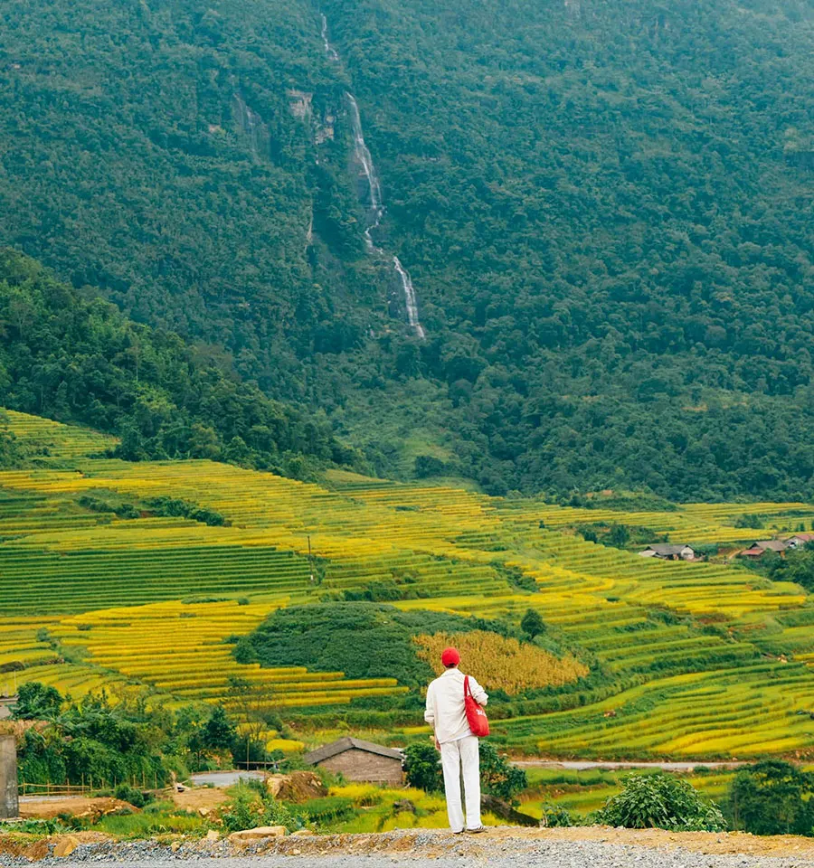 10 Most Beautiful Rice Terraces in Vietnam to Visit 6 Golden terraces turn Y Ty into one of northern Vietnam’s finest landscapes