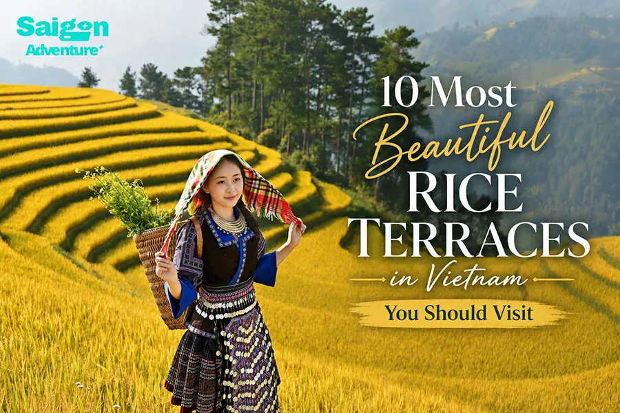 10 Most Beautiful Rice Terraces in Vietnam to Visit 1 The most beautiful rice terraces in Vietnam glowing during golden harvest season