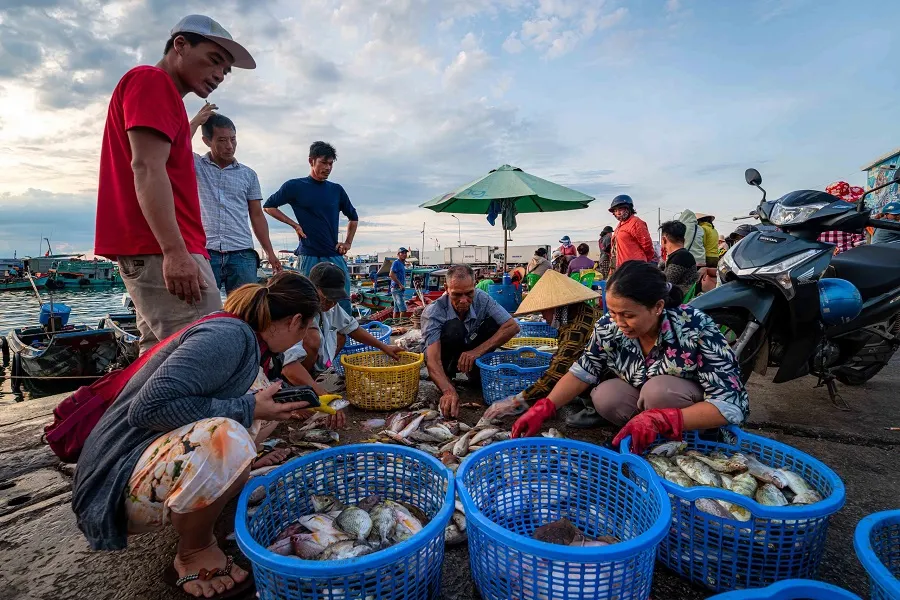 Phan Thiet Fishing Village: Local Life, Seafood & Travel Tips 2 Experience the vibrant seafood market at Mui Ne Fishing Village
