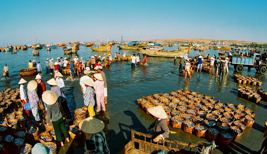 Phan Thiet Fishing Village: Local Life, Seafood & Travel Tips 4 atch fishing boats return to shore carrying a fresh catch of seafood.