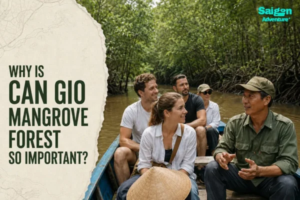 Why Is Can Gio Mangrove Forest So Important?