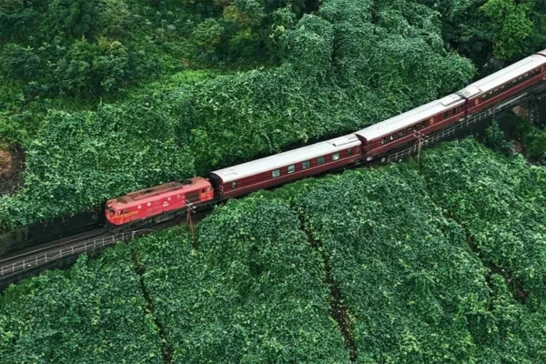 8-Day Luxury Vietnam Train Tour | North to South Railway