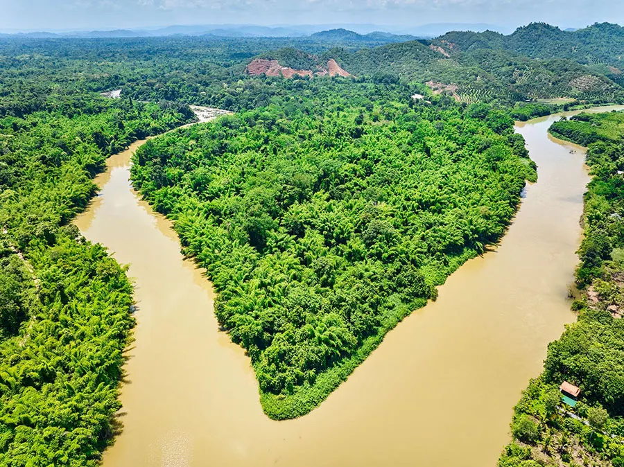 Cat Tien Night Safari: What to Expect, See & Know 9 Discovering the peaceful wilderness and diverse wildlife of Cat Tien National Park
