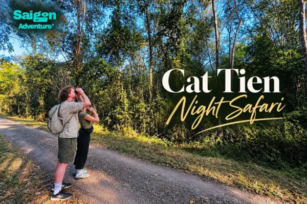 Cat Tien Night Safari: What to Expect, See & Know