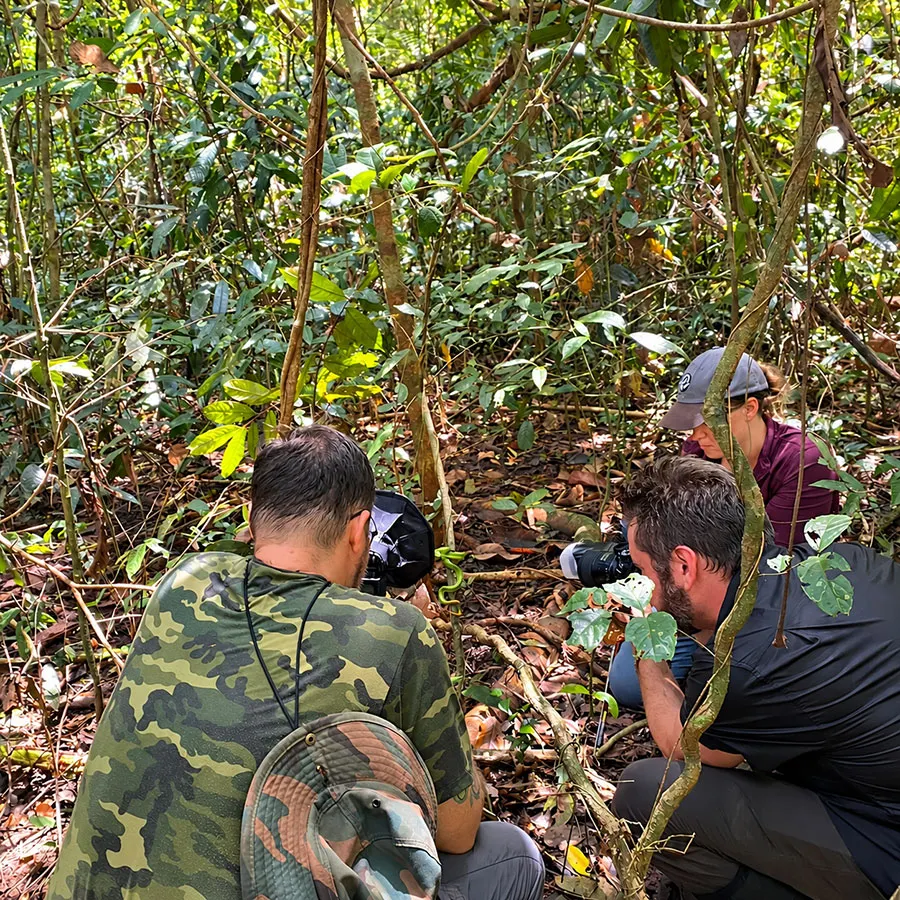 Cat Tien Night Safari: What to Expect, See & Know 1 Discovering nocturnal animals in the protected rainforest of Cat Tien Vietnam