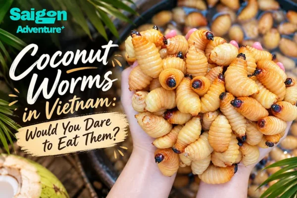 Coconut Worms in Vietnam: Would You Dare to Eat Them?