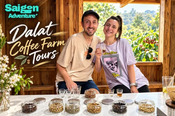 Dalat Coffee Farm Tours: What You Actually See, Learn and Taste