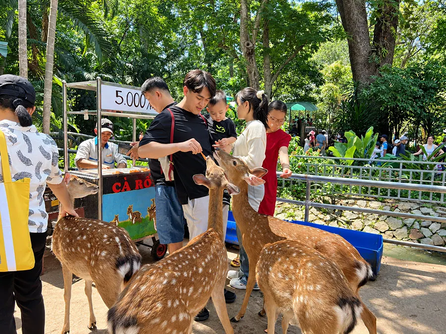 Saigon Zoo With Kids: A Practical Guide for Families 4 Discovering Saigon Zoo encourages children to observe, ask questions and learn about nature