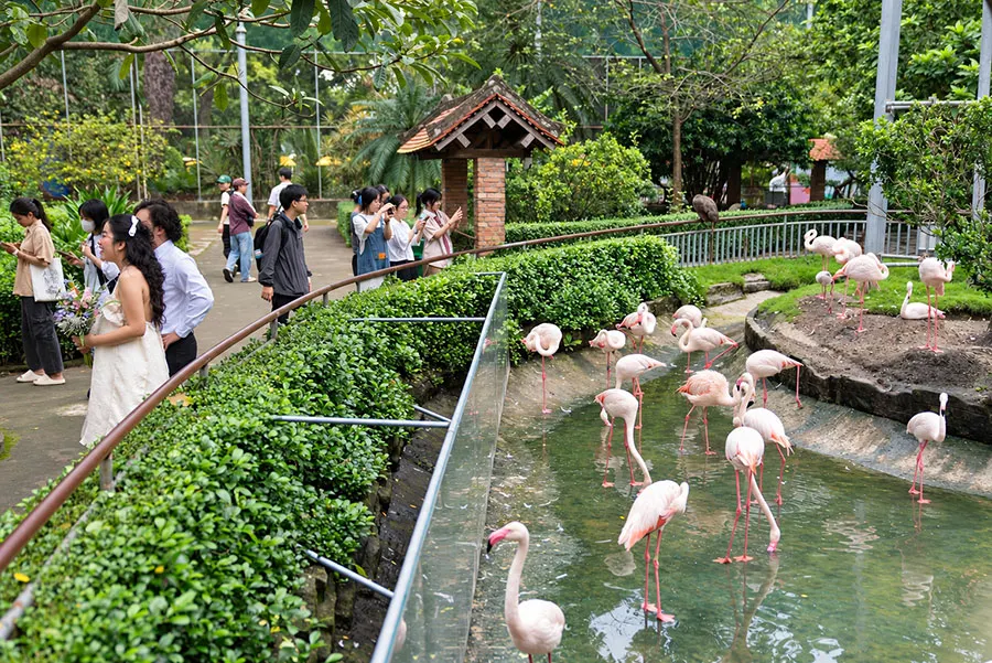 Is Saigon Zoo Worth Visiting? What to Expect Before You Go 3 Discover why Saigon Zoo is worth visiting for families and nature lovers, with animal exhibits and leafy gardens to explore at your own pace.