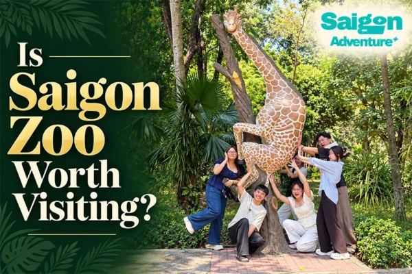 Is Saigon Zoo Worth Visiting? What to Expect Before You Go