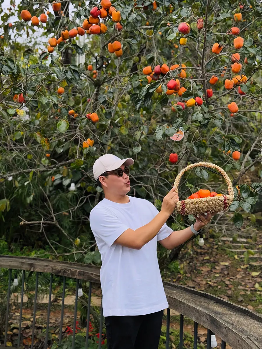 Persimmon Picking in Dalat: A Seasonal Farm Experience 5 Travelers tasting local persimmons after a hands-on harvesting experience at a Dalat orchard