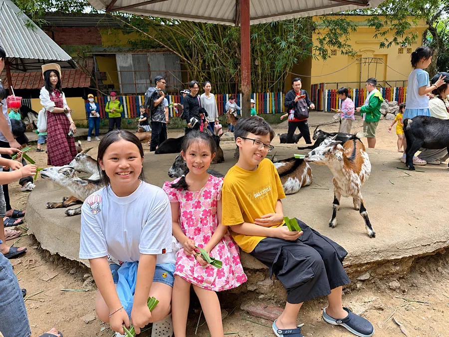 Saigon Zoo With Kids: A Practical Guide for Families 2 Saigon Zoo is a rewarding stop for children who love animals and outdoor discovery