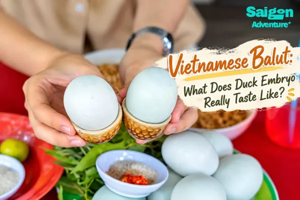 Vietnamese Balut: What Does Duck Embryo Really Taste Like?
