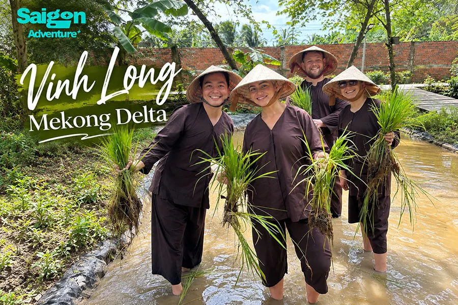 Vinh Long Mekong Delta: Homestays, Cycling and Orchards 8 Tourists enjoying traditional rice planting in Vinh Long Mekong Delta