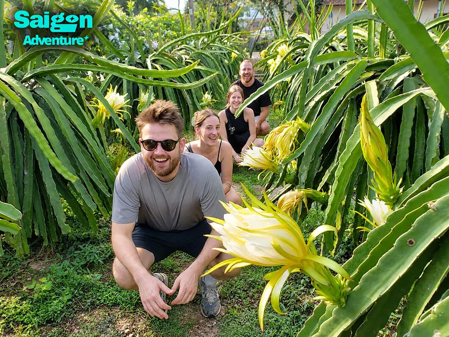 Vinh Long Mekong Delta: Homestays, Cycling and Orchards 5 vinh long mekong delta guide 5